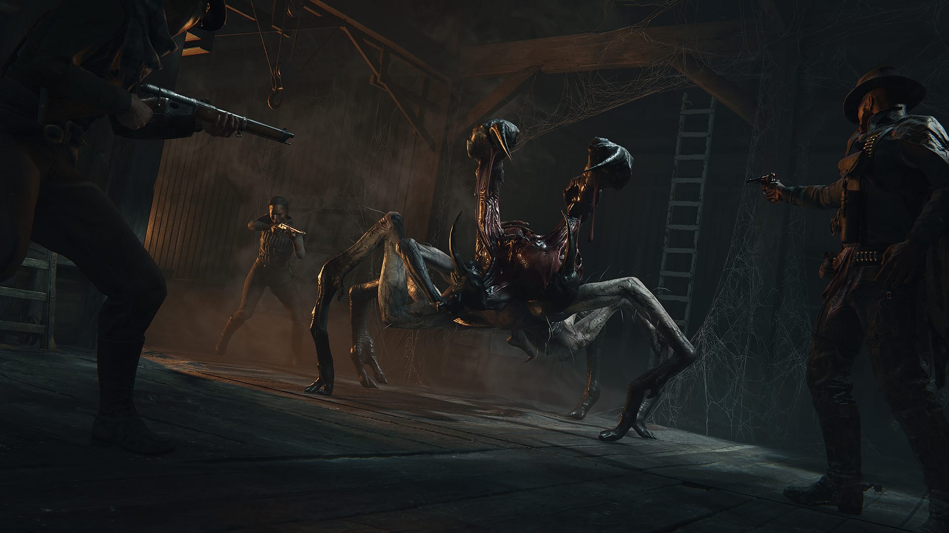 Spinne